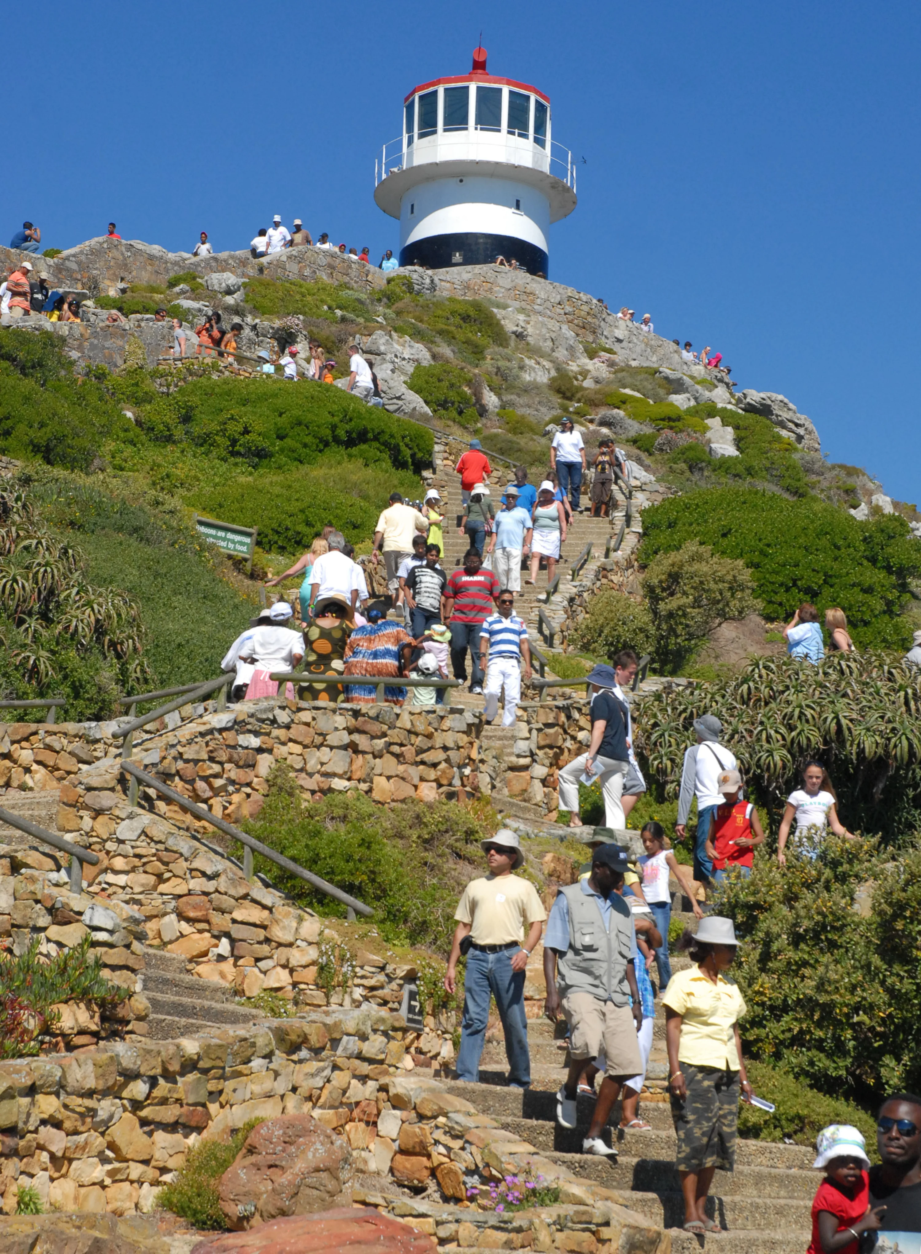 People walking up stone steps surrounded by greenery, leading to a white and red lighthouse atop a rocky hill under a clear blue sky.