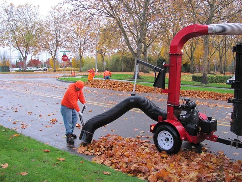Workers in orange uniforms clear fallen leaves from a street using a large vacuum machine attached to a red trailer. Trees with autumn foliage line the road.
