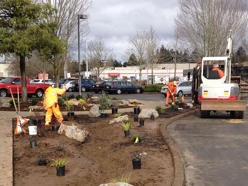 Workers in orange uniforms are landscaping a mulched area in a parking lot, planting small potted plants and arranging rocks near a small excavator. Vehicles are parked in the background.