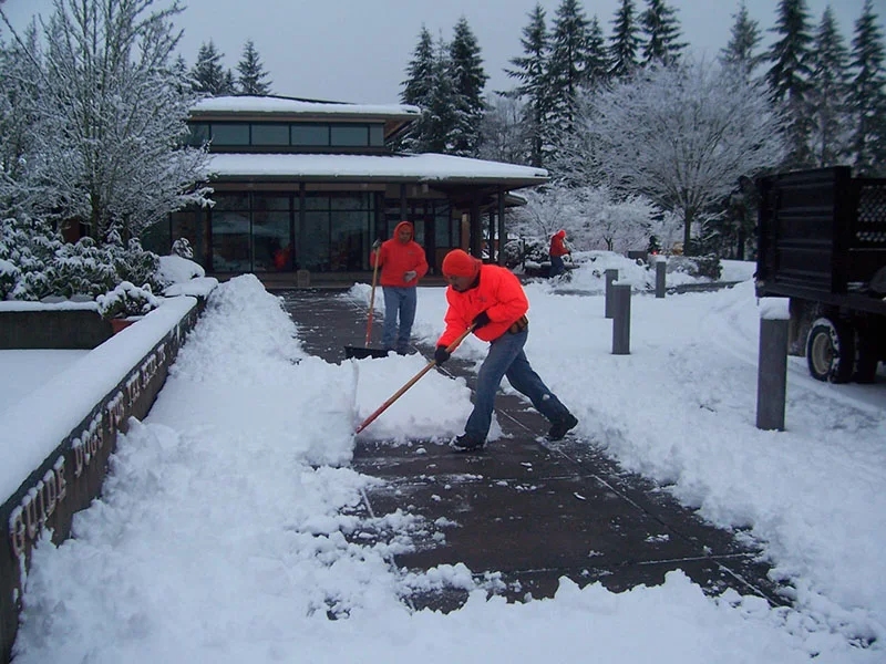 Workers wearing bright orange jackets shovel snow off a walkway in front of a modern building with large windows, surrounded by snow-covered trees and landscaping. A truck is parked nearby.