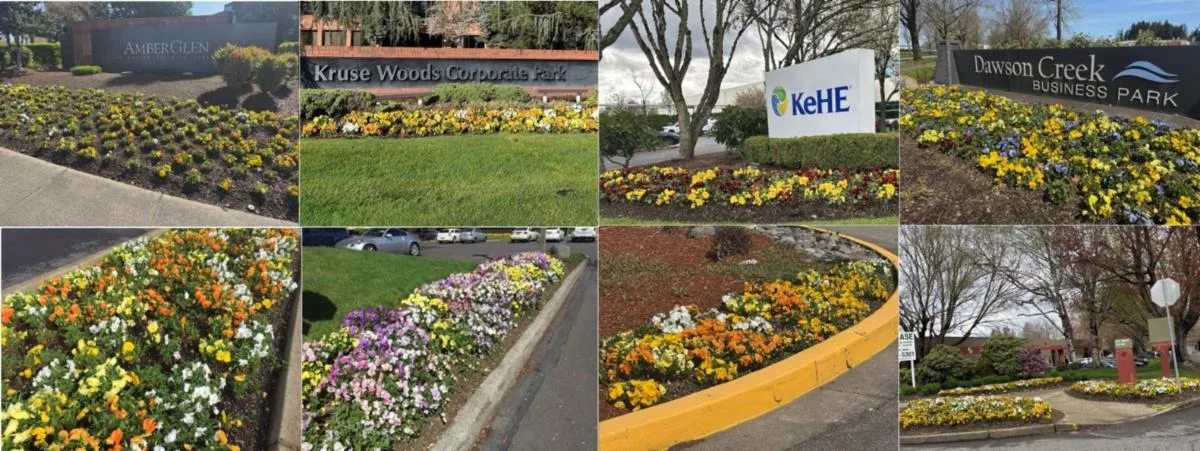 Collage of different business park signs surrounded by vibrant flower beds, featuring various colorful flowers in bloom, under partly cloudy skies and trees.