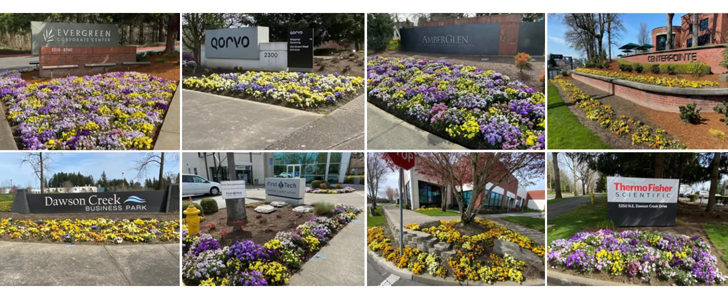 A collage of eight business signs, each surrounded by colorful flower beds. Signs include Evergreen Corporate Center, Qorvo, AmberGlen, and Thermo Fisher Scientific.