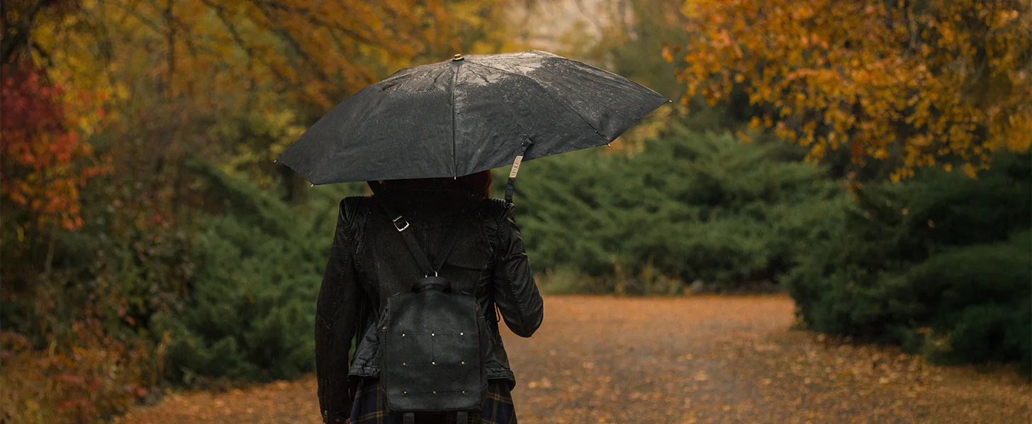 Person in a black coat and backpack holding an umbrella and walking down a path surrounded by lush green bushes and autumn-colored trees.