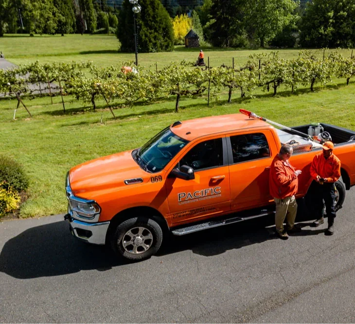 Two workers in orange uniforms stand next to an orange Pacific Power truck parked on a paved road beside a vineyard with green foliage and grass in the background.