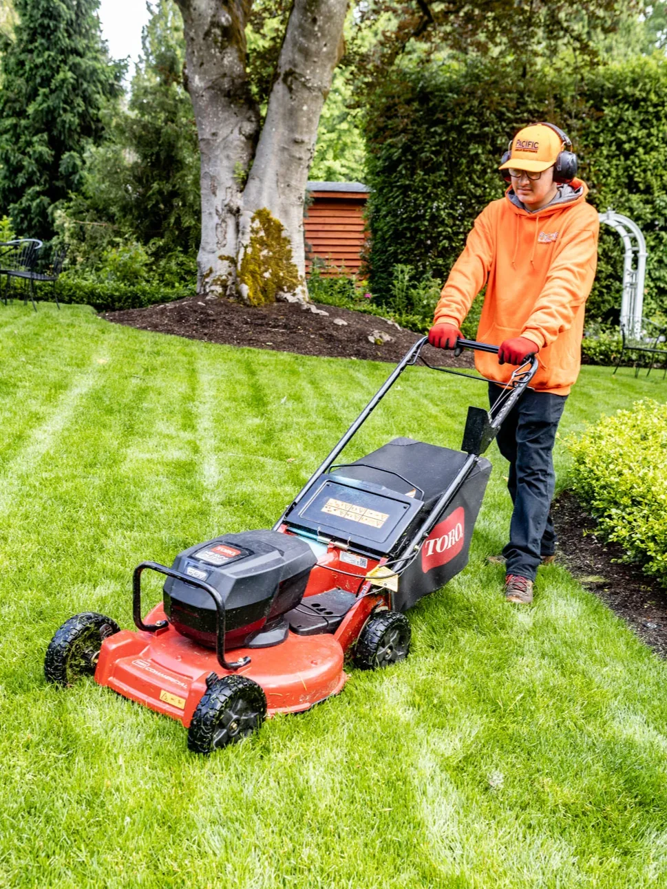 A person in an orange sweatshirt and earmuffs is pushing a red Toro lawnmower on a well-manicured lawn. There are trees, shrubs, and a garden arch in the background.