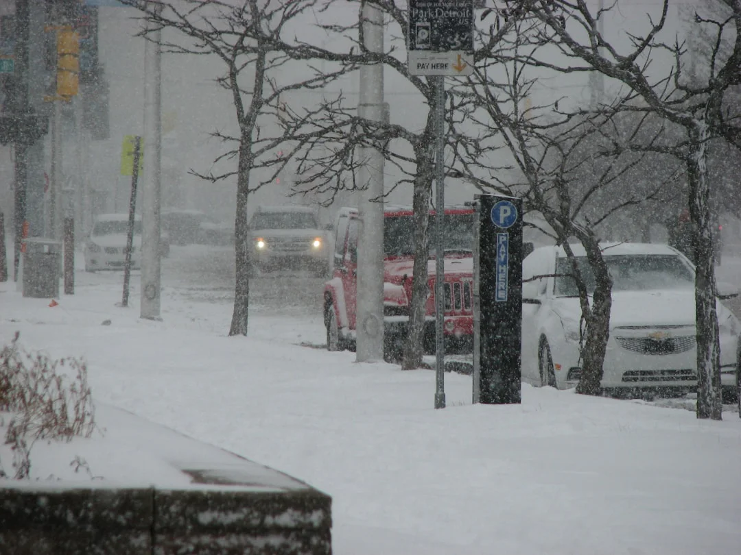 Snow-covered street scene with multiple cars parked and driving in snowy conditions. Bare trees and a parking meter are visible under heavy snowfall, creating limited visibility.