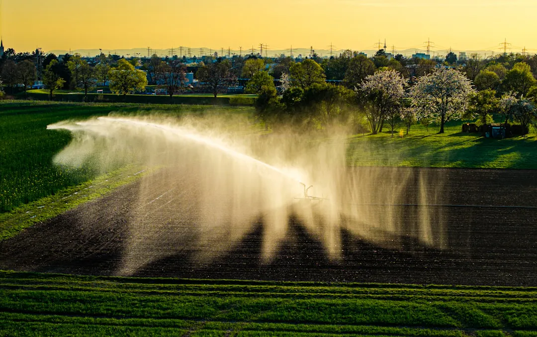A field being irrigated by a sprinkler system, with water mist spraying over the soil under a yellow sky. Trees and a distant city are visible in the background.