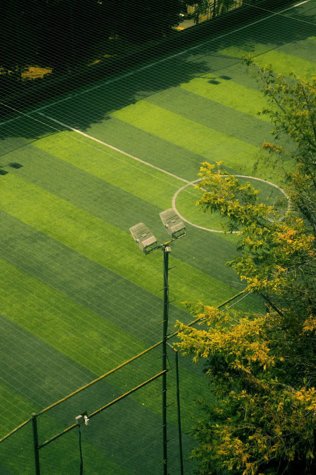 A well-maintained green soccer field viewed from above, with a circular center line, floodlights on tall poles, and trees with yellow flowers on the side.