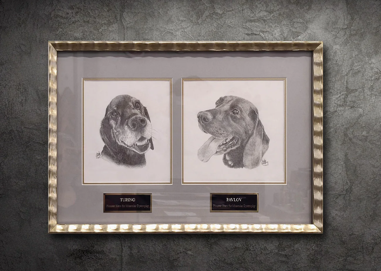 Framed black and white sketches of two dogs, labeled 