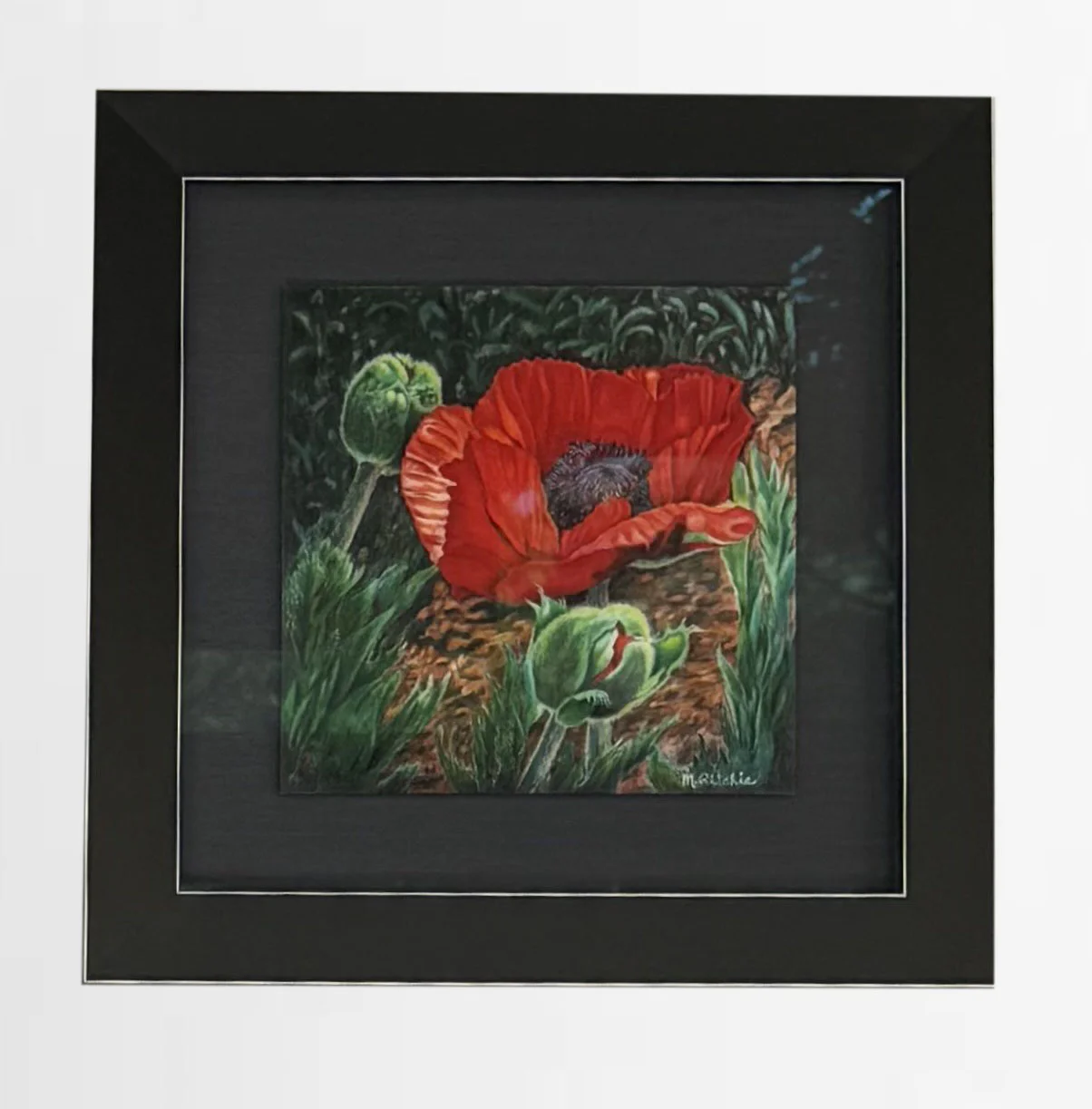 Framed painting of a vibrant red poppy with green leaves, set against a dark background. The flower is in full bloom, with surrounding buds and foliage adding depth.
