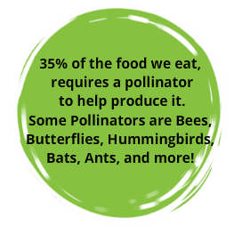 Green circle with text stating that 35% of the food we eat requires pollinators like bees, butterflies, hummingbirds, bats, ants, and more to help produce it.