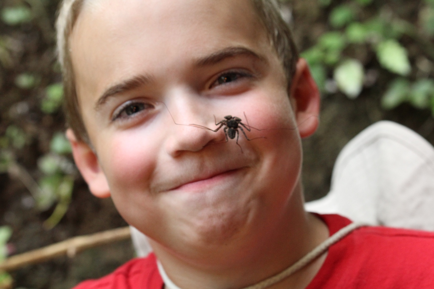 A smiling child with a whip spider on their cheek, wearing a red shirt. The background is blurred greenery, creating a natural setting.