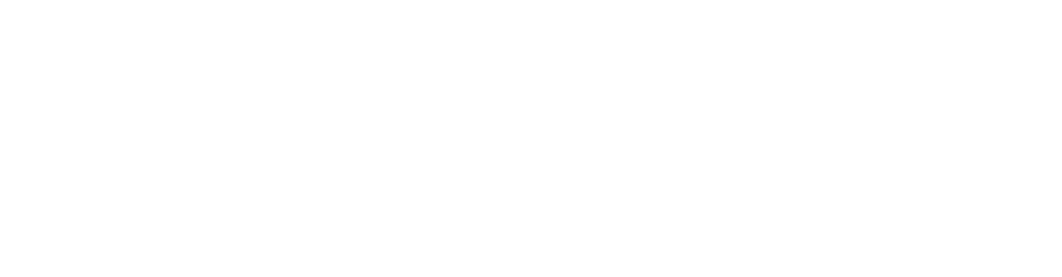 The Bug Chicks