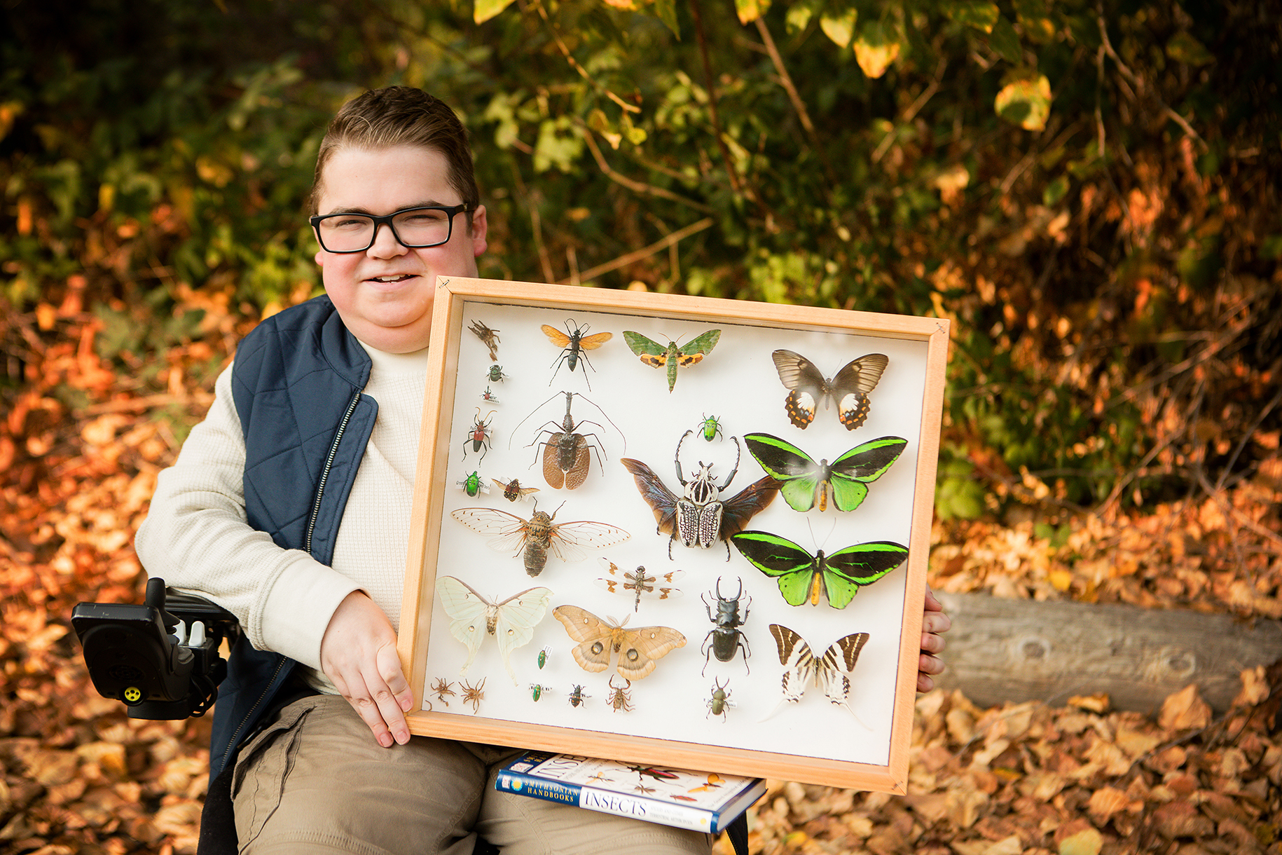 A person in a navy vest holds a framed insect collection, featuring butterflies and beetles, seated outdoors on fallen leaves with two books nearby.