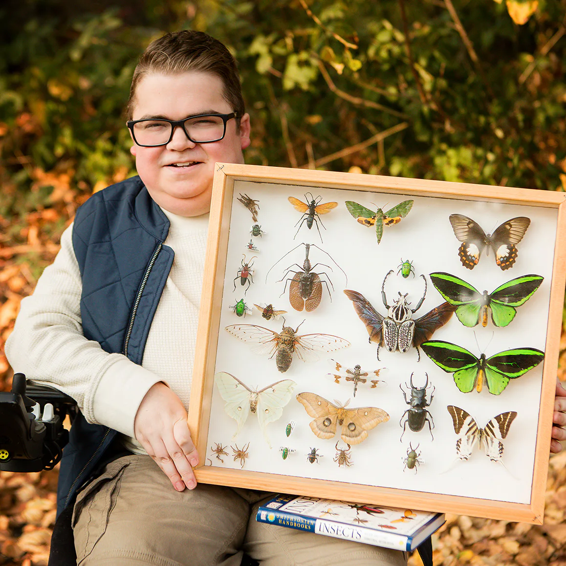 A person in a navy vest holds a framed insect collection, featuring butterflies and beetles, seated outdoors on fallen leaves with two books nearby.